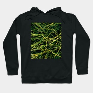 Yellow Green neon - needles pattern - Abstract photography Hoodie